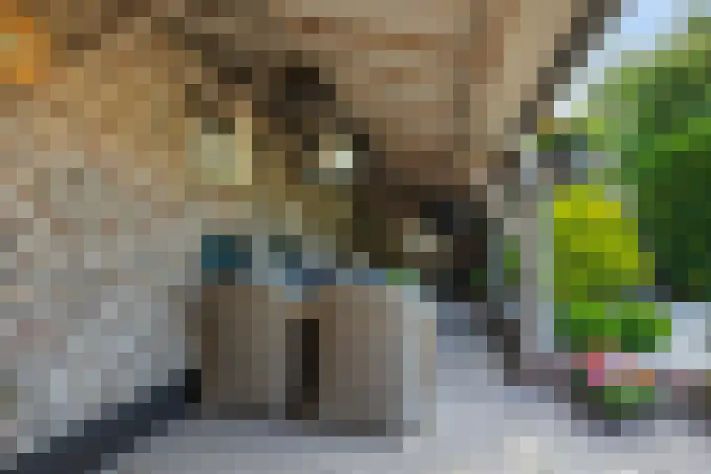 Geldersestraat 4 Helenaveen thumbnail 29
