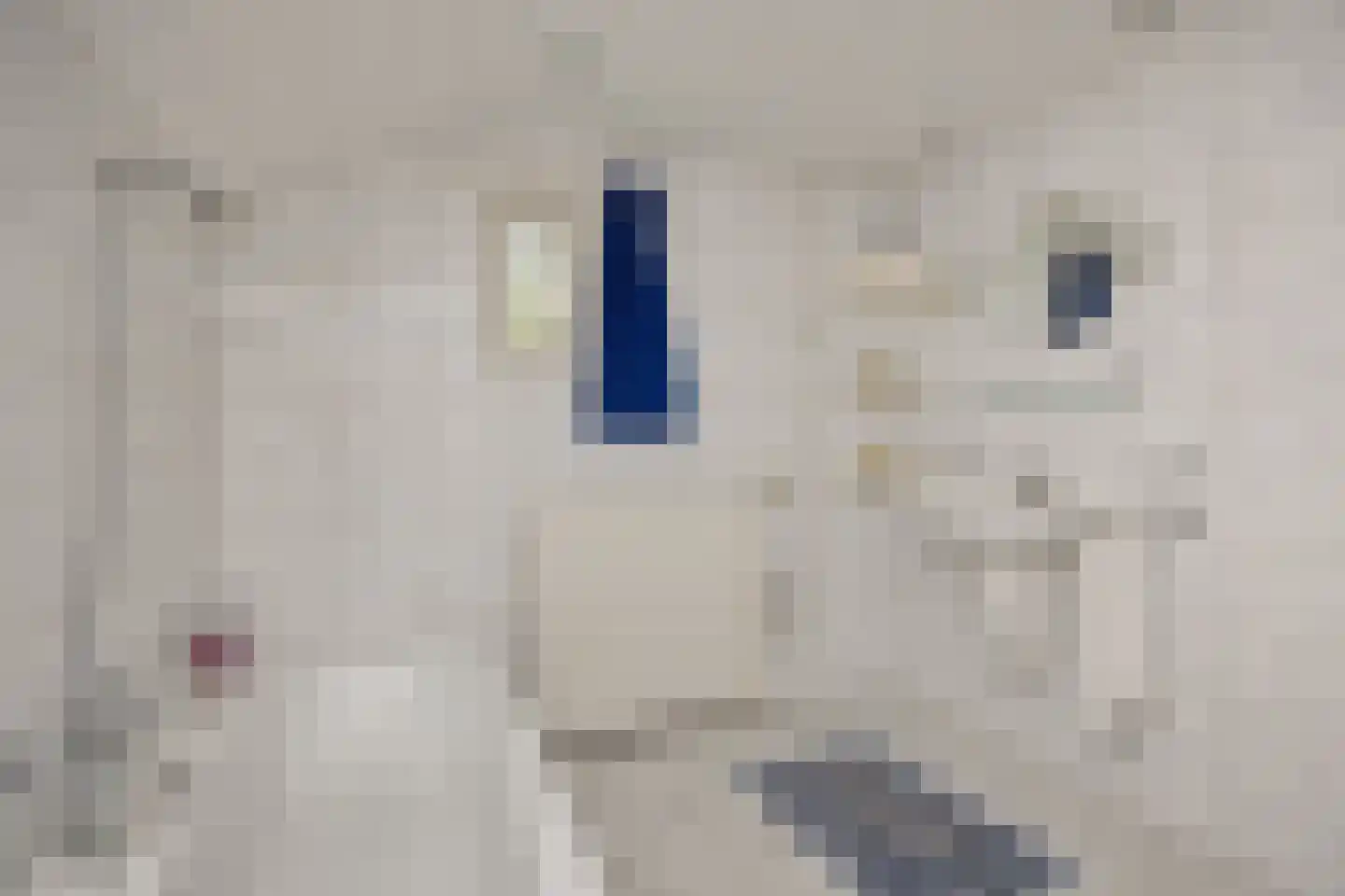Geldersestraat 4 Helenaveen thumbnail 4