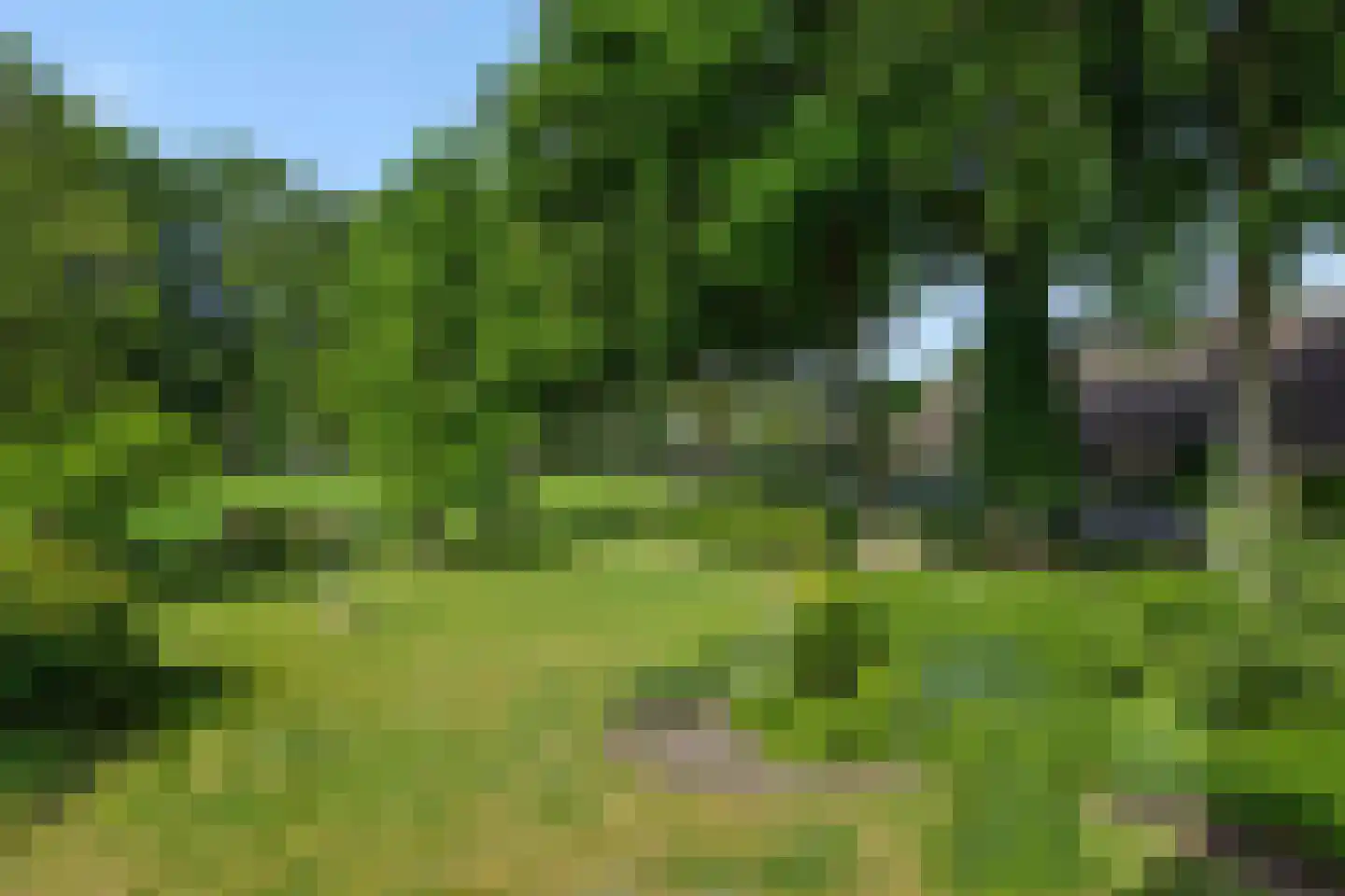 Geldersestraat 4 Helenaveen thumbnail 41