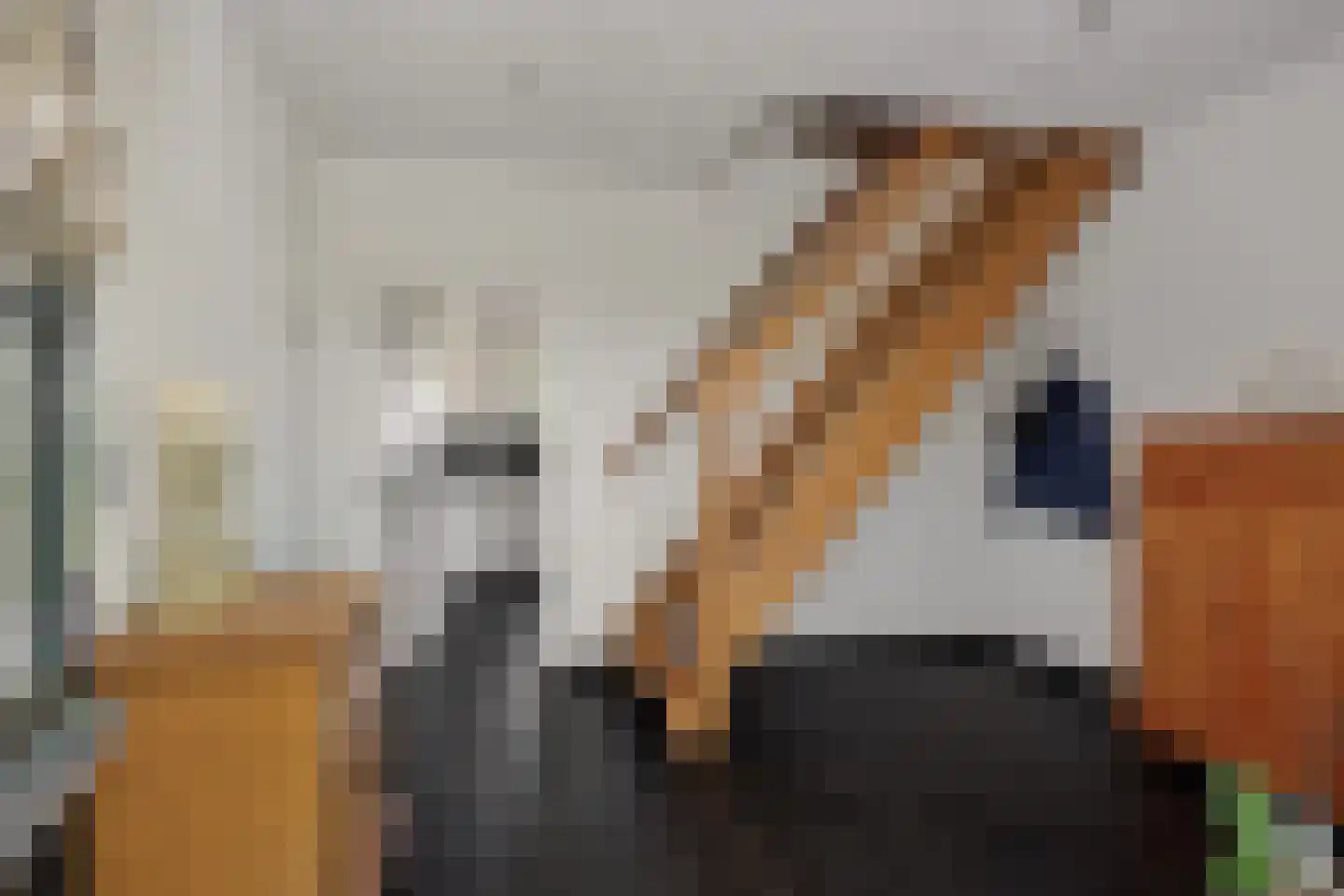 Geldersestraat 4 Helenaveen thumbnail 8