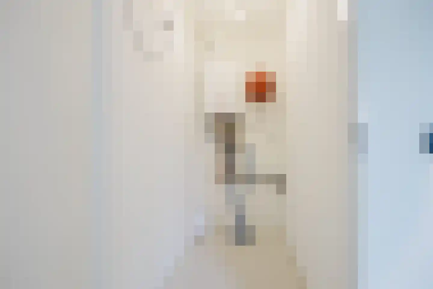 Geldersestraat 7 Geldermalsen thumbnail 15