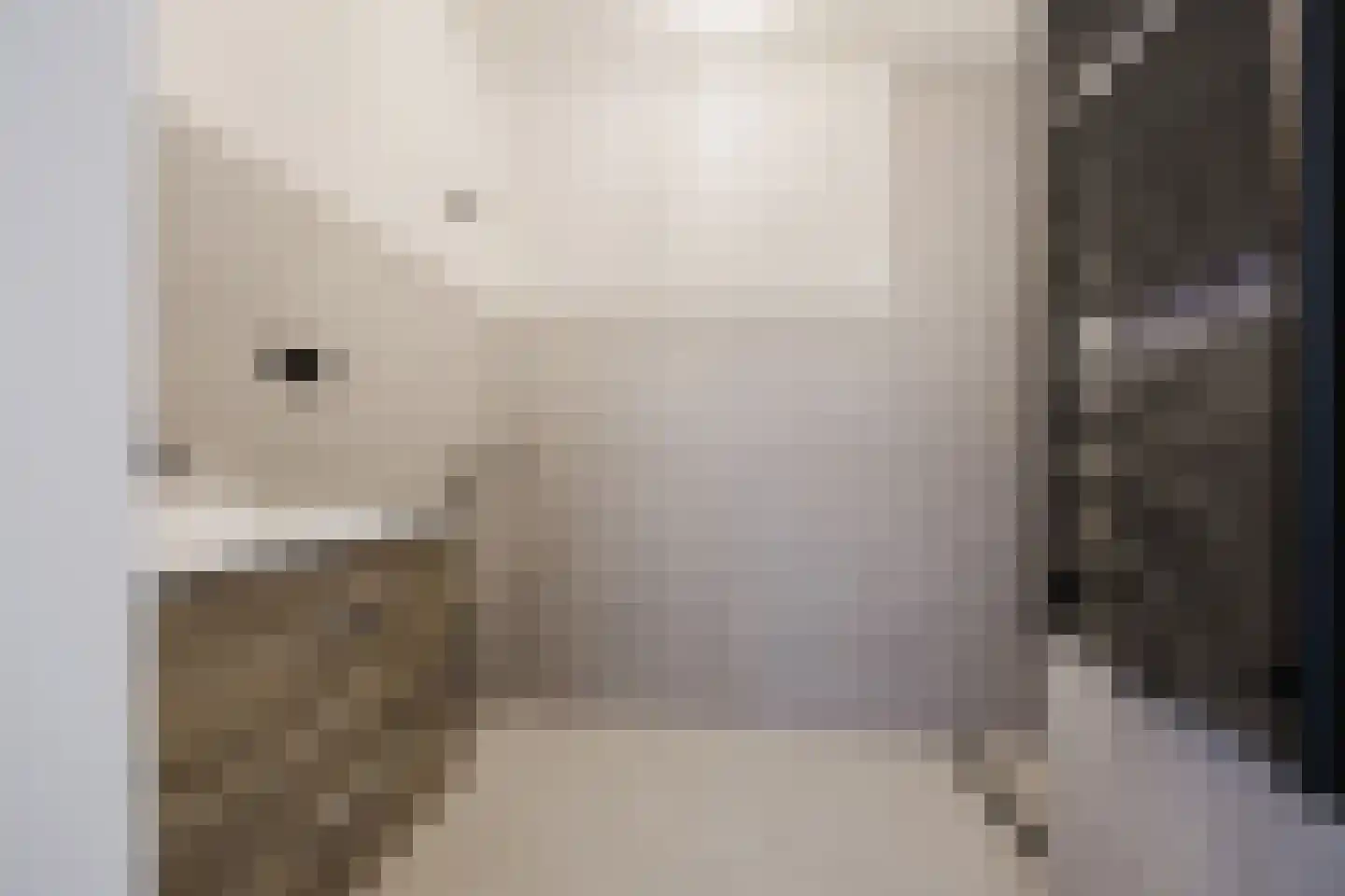 Geldersestraat 7 Geldermalsen thumbnail 9