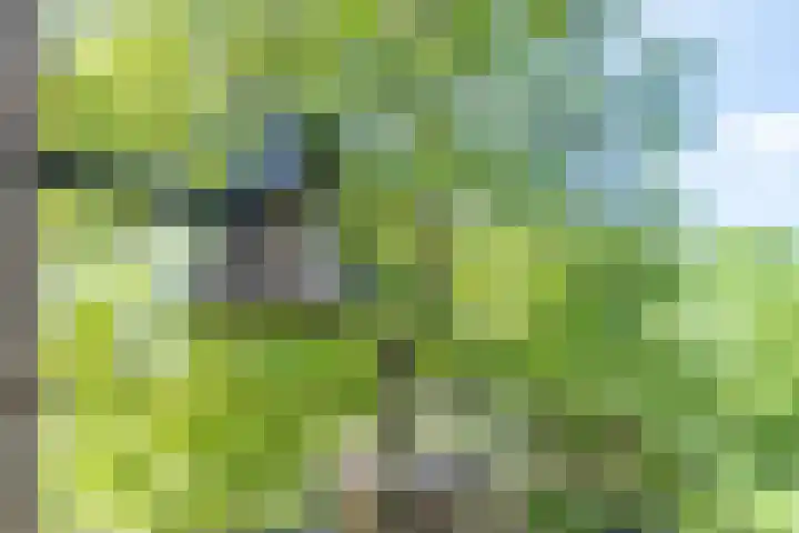 Geldersestraat 9 Helenaveen thumbnail 32