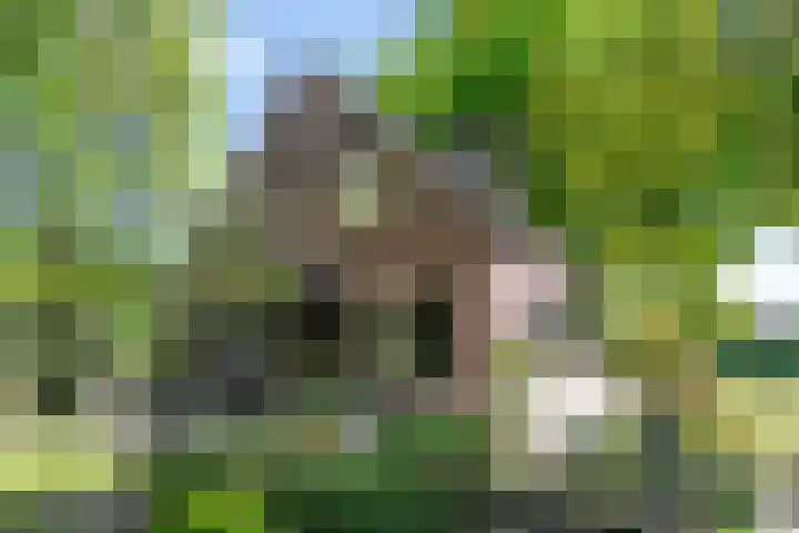 Geldersestraat 9 Helenaveen thumbnail 41