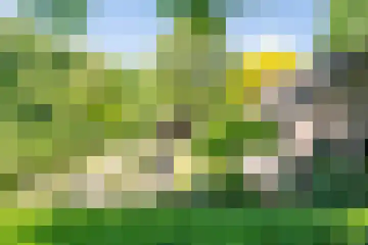 Geldersestraat 9 Helenaveen thumbnail 43
