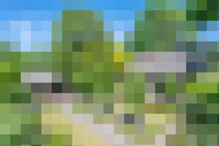 Geldersestraat 9 Helenaveen thumbnail 44