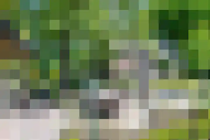 Geldersestraat 9 Helenaveen thumbnail 47