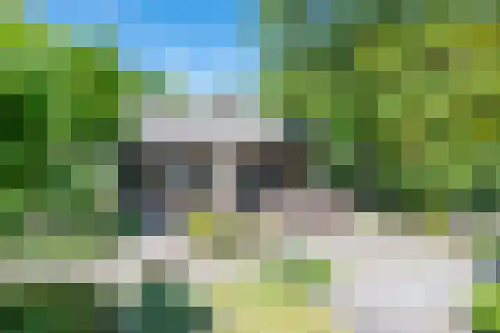 Geldersestraat 9 Helenaveen thumbnail 49