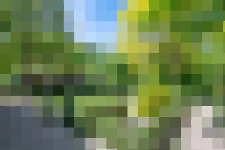 Geldersestraat 9 Helenaveen thumbnail 50
