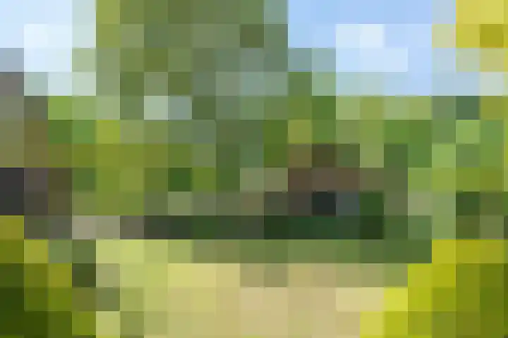 Geldersestraat 9 Helenaveen thumbnail 51