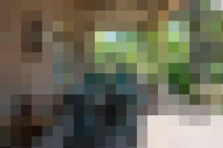 Geldersestraat 9 Helenaveen thumbnail 52