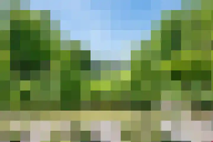 Geldersestraat 9 Helenaveen thumbnail 53