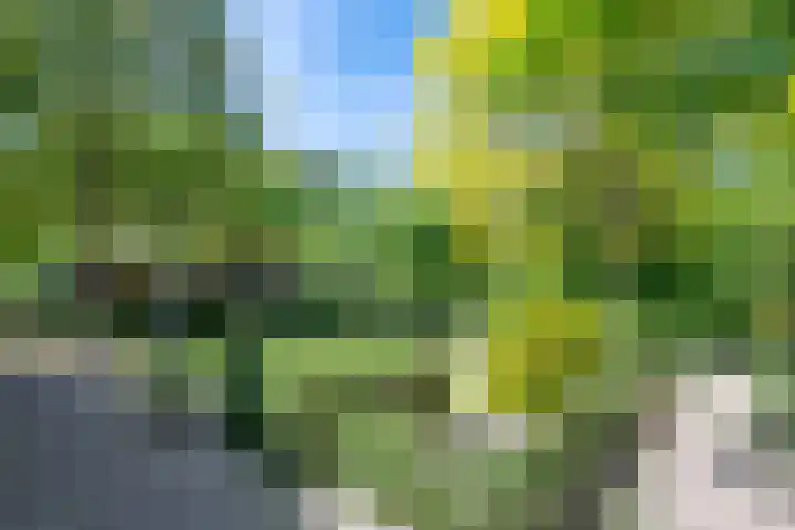 Geldersestraat 9 Helenaveen thumbnail 6