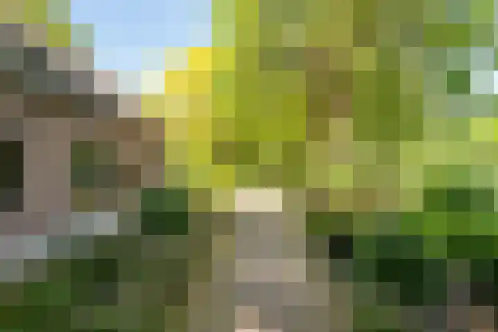 Geldersestraat 9 Helenaveen thumbnail 7