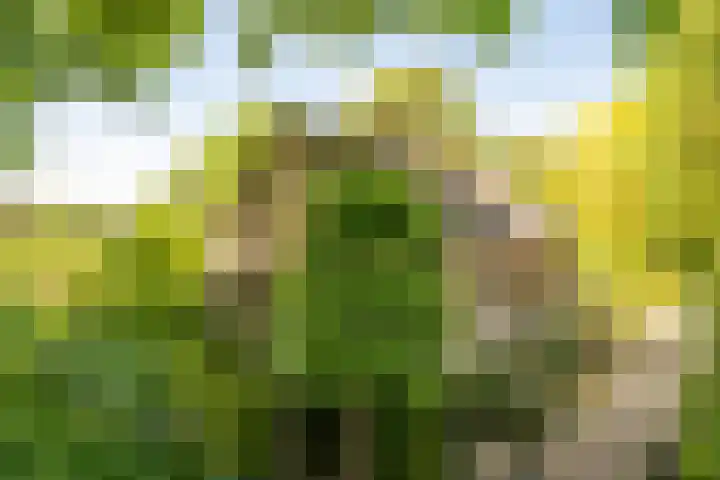 Geldersestraat 9 Helenaveen thumbnail 73