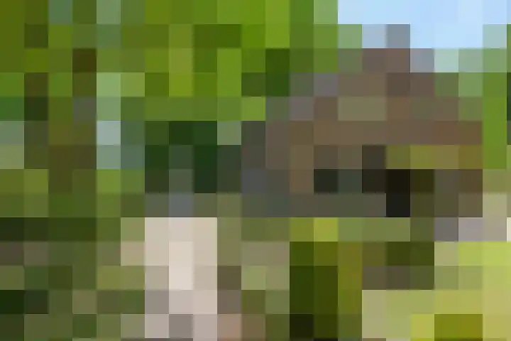Geldersestraat 9 Helenaveen thumbnail 9