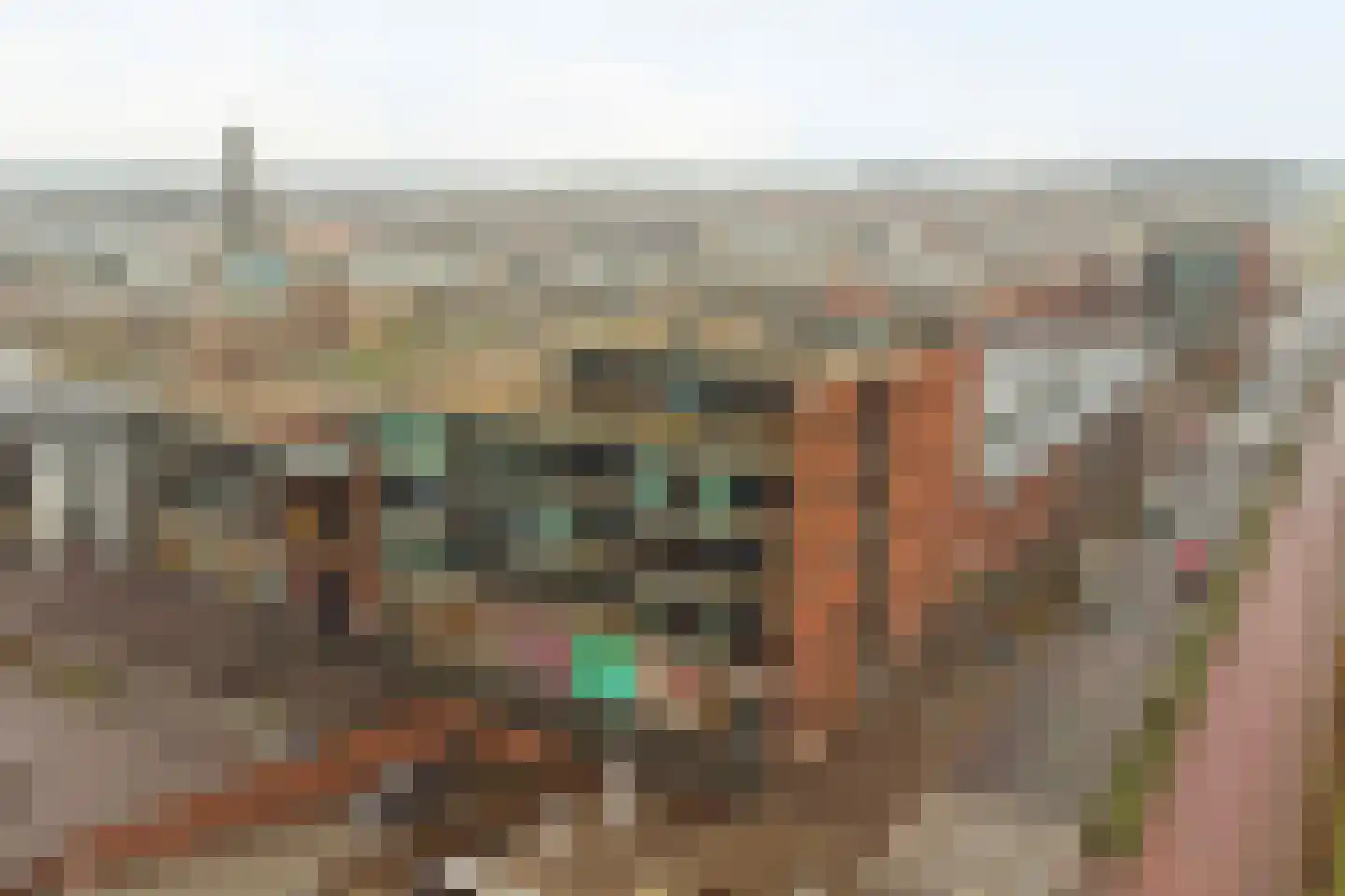 Gelderseweg 35 Zeewolde thumbnail 9