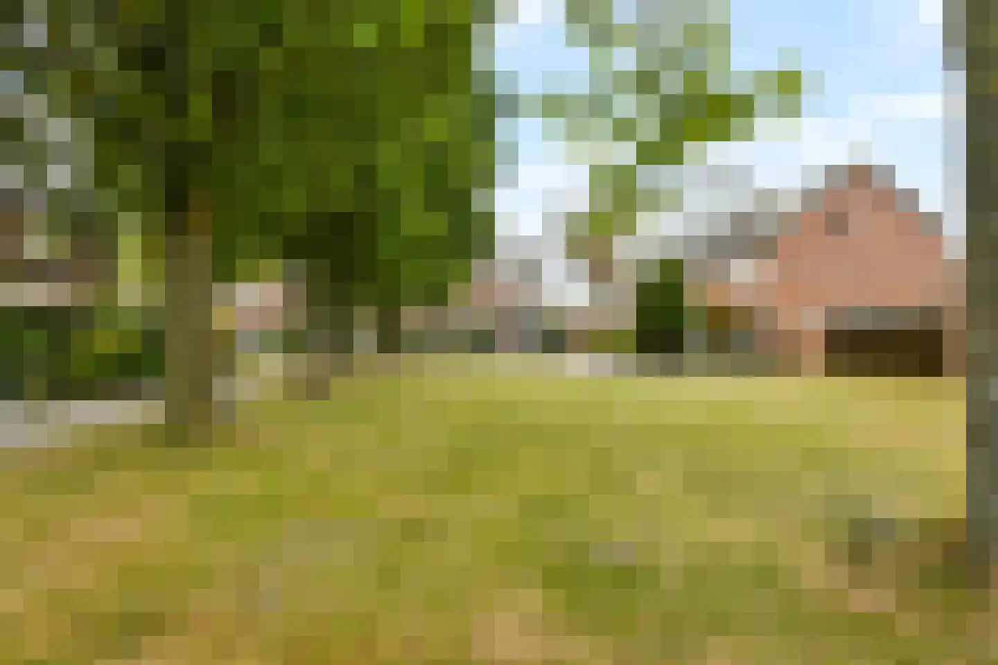 Geldersman 19 Volendam thumbnail 20