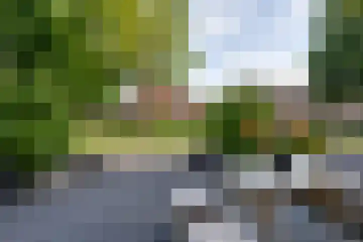 Geldersman 2 Volendam thumbnail 10