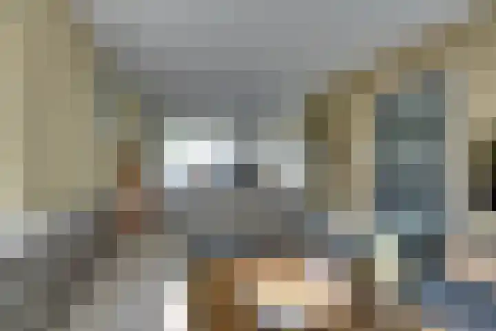 Geldersman 2 Volendam thumbnail 13