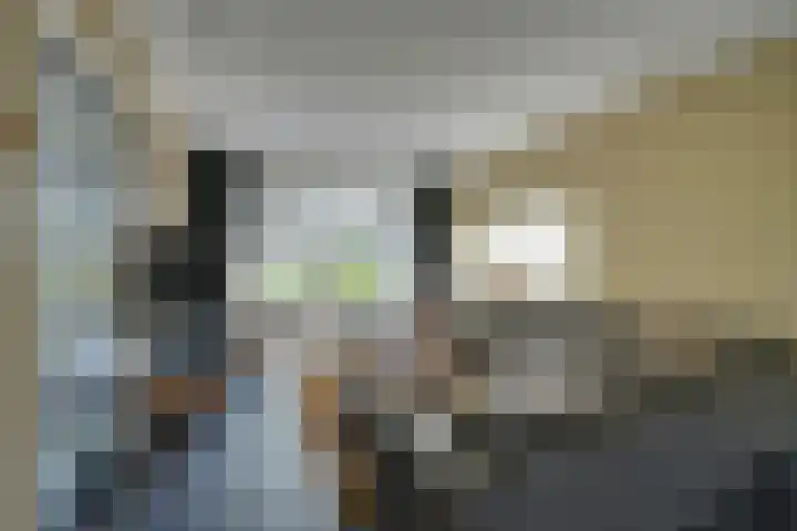Geldersman 2 Volendam thumbnail 14