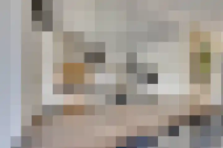 Geldersman 2 Volendam thumbnail 23