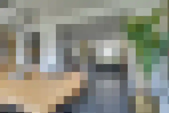 Geldersman 2 Volendam thumbnail 32