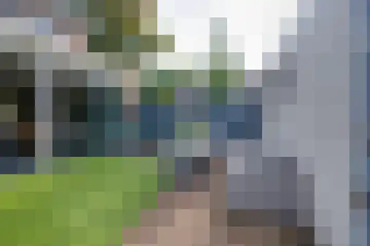 Geldersman 2 Volendam thumbnail 35