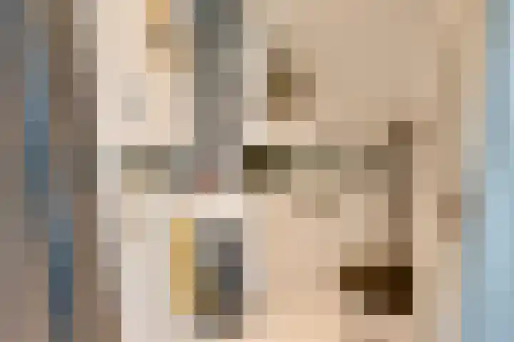 Geldersman 2 Volendam thumbnail 39