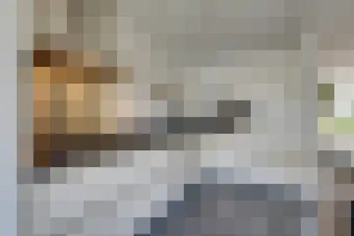 Geldersman 2 Volendam thumbnail 4