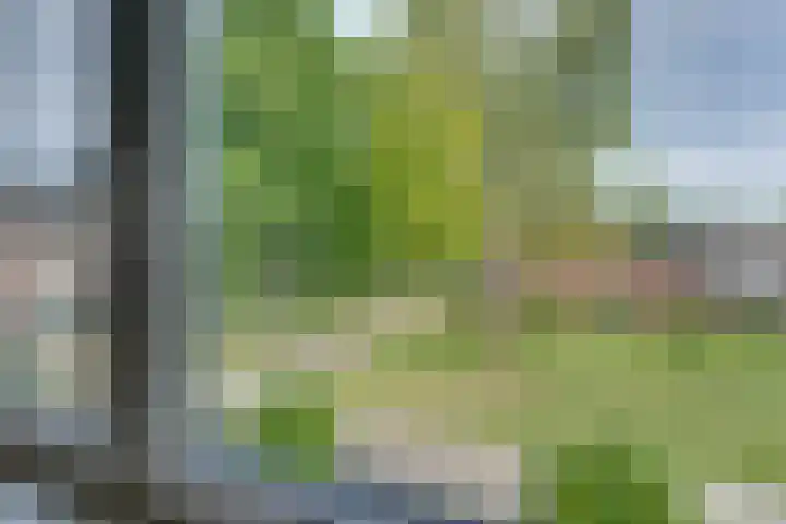 Geldersman 2 Volendam thumbnail 44