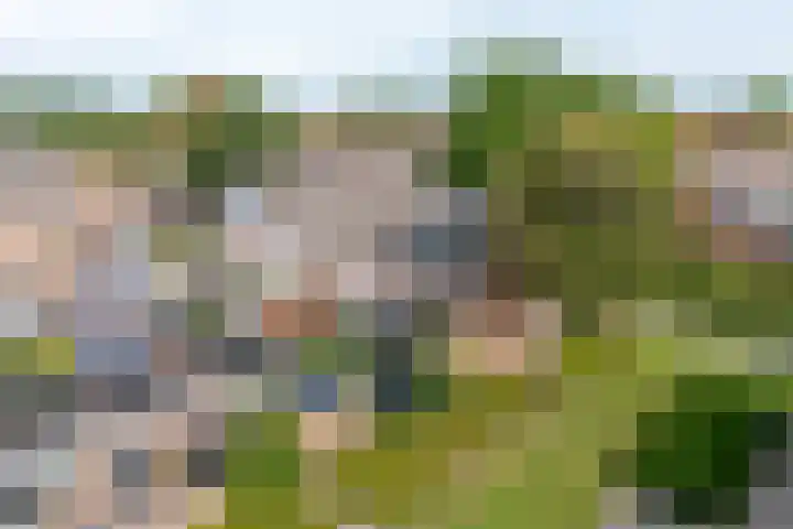 Geldersman 2 Volendam thumbnail 5