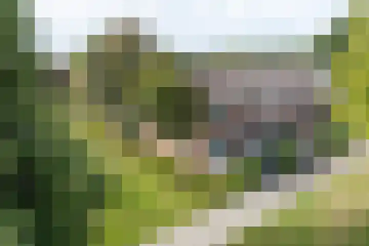 Geldersman 2 Volendam thumbnail 58