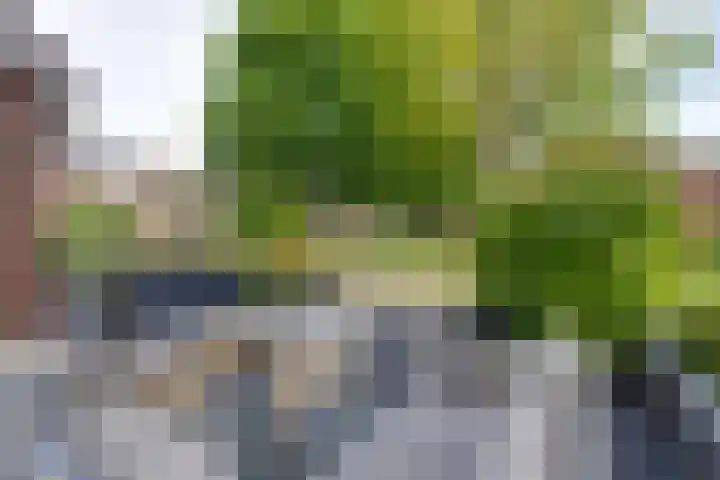 Geldersman 2 Volendam thumbnail 9