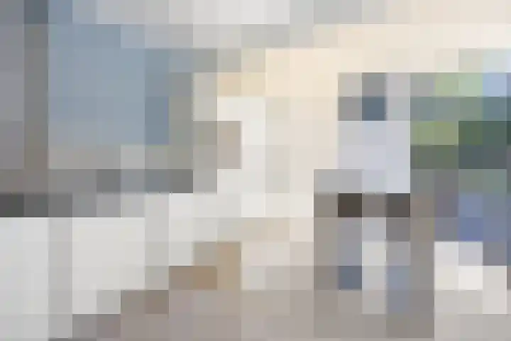 Gelderspad 3 Huissen thumbnail 21