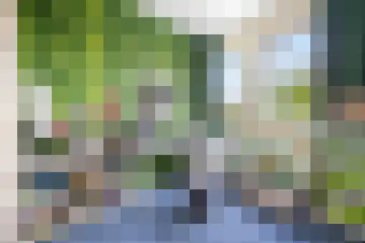 Gelderspad 3 Huissen thumbnail 35
