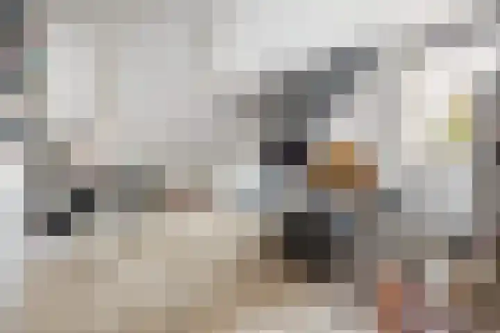 Gelderspad 3 Huissen thumbnail 36