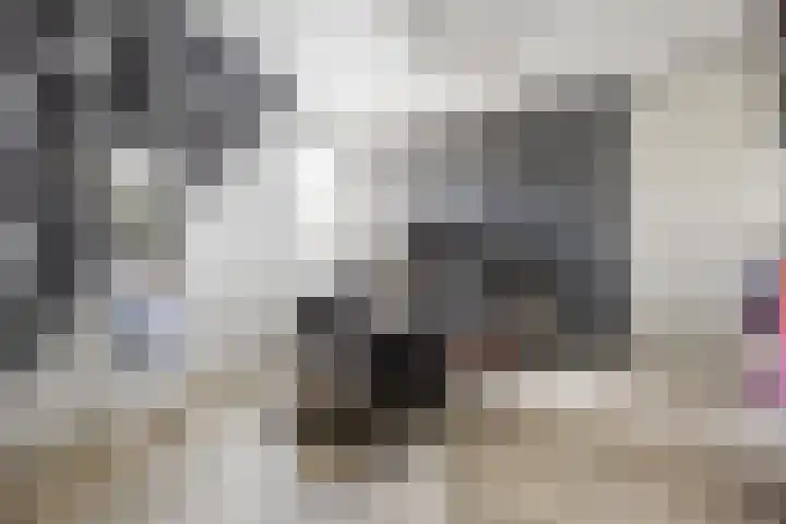 Gelderspad 3 Huissen thumbnail 37