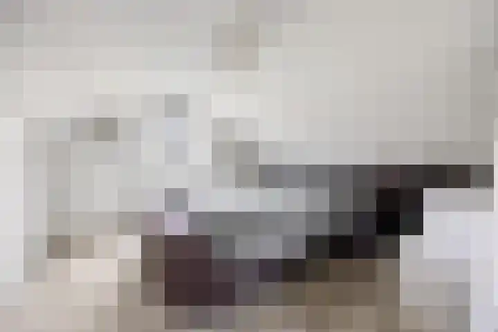 Gelderspad 3 Huissen thumbnail 39