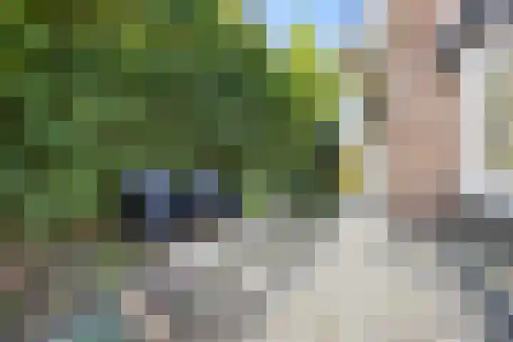 Gelderspad 3 Huissen thumbnail 47