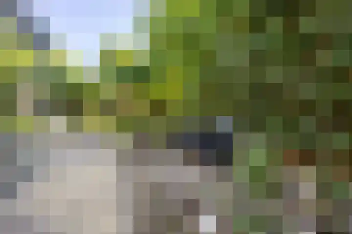 Gelderspad 3 Huissen thumbnail 48