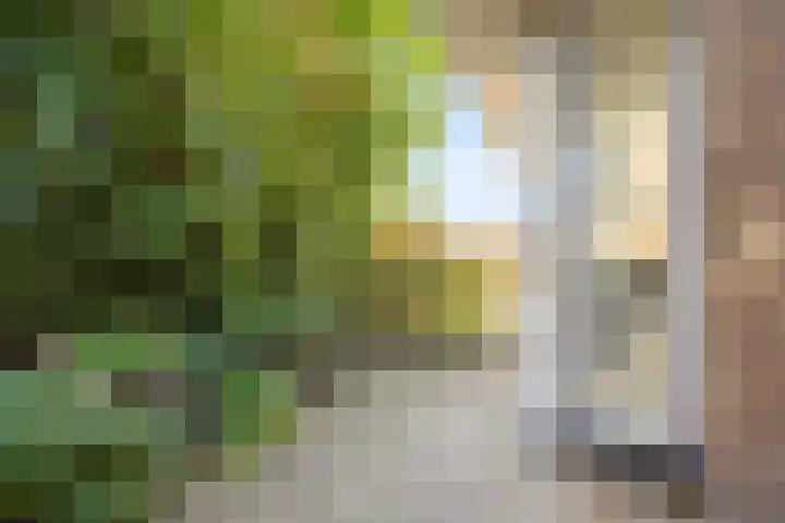 Gelderspad 3 Huissen thumbnail 49