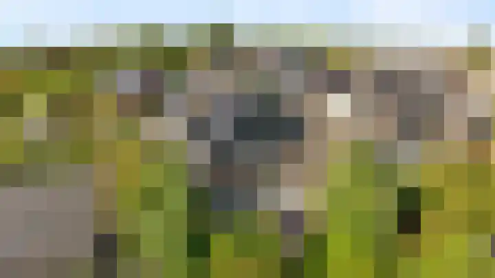 Gelderspad 3 Huissen thumbnail 54