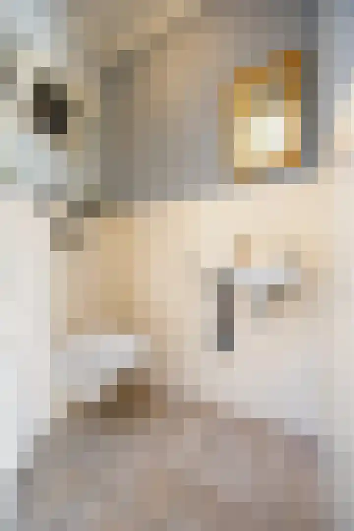 Gelderspad 3 Huissen thumbnail 8