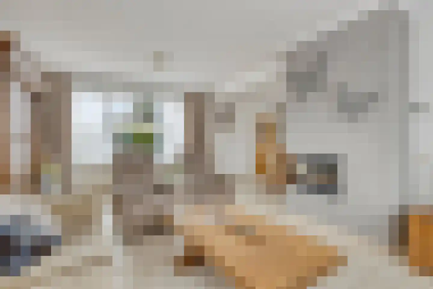 Gelderstraat 10 Bergen L thumbnail 11