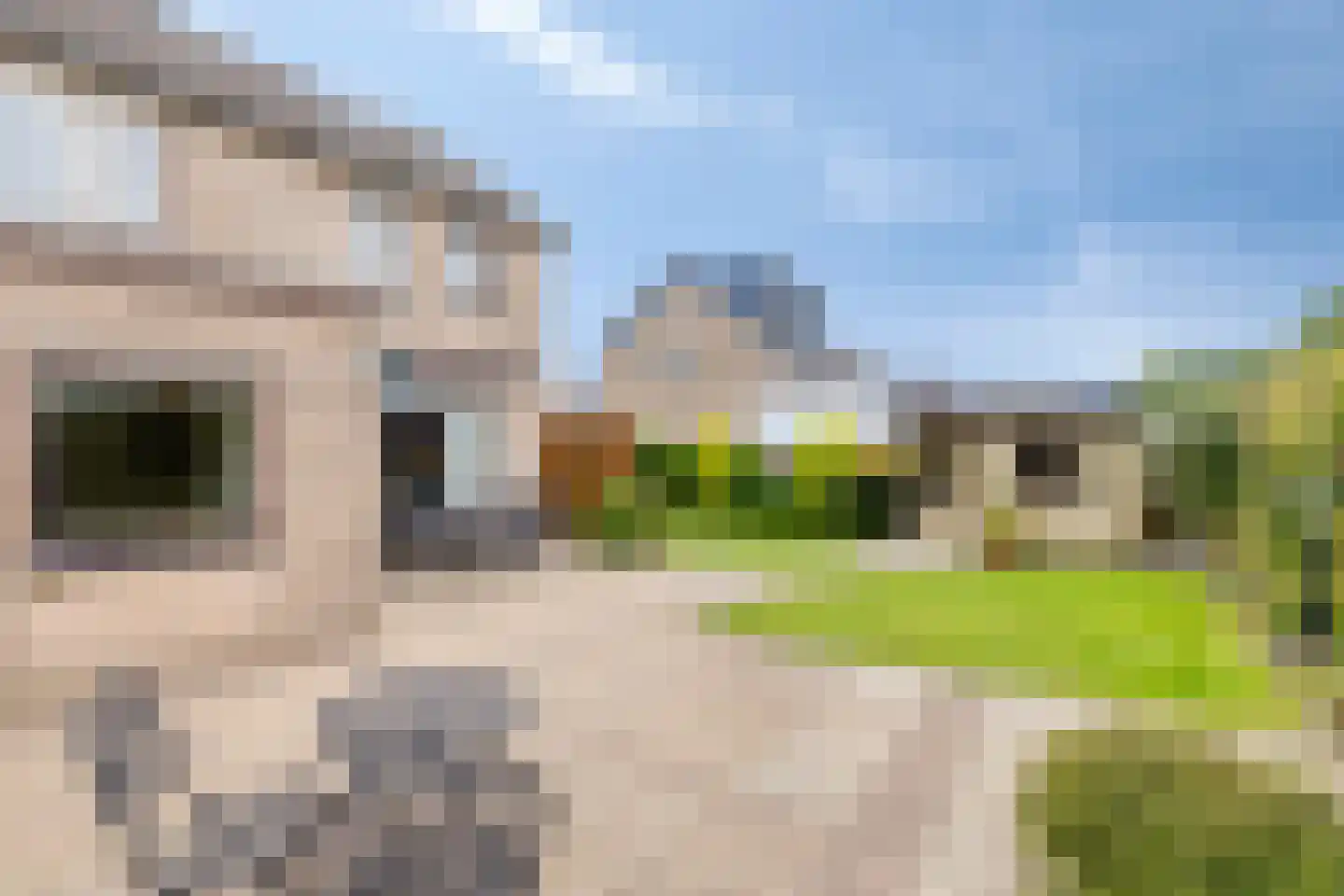Gelderstraat 10 Bergen L thumbnail 34