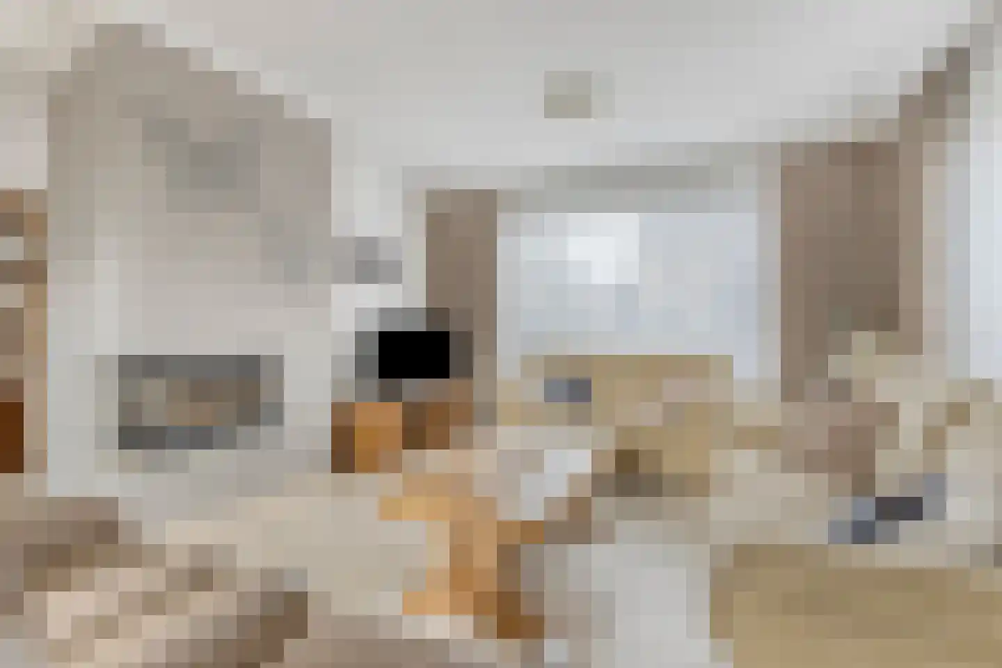 Gelderstraat 10 Bergen L thumbnail 9
