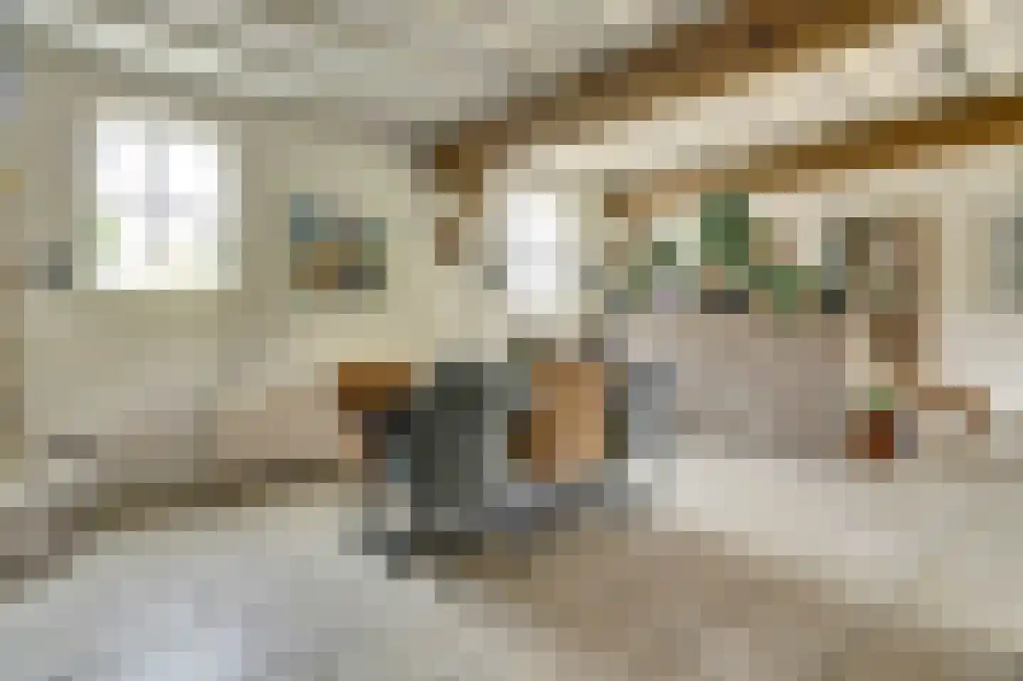 Gelderstraat 54 Hilvarenbeek thumbnail 13
