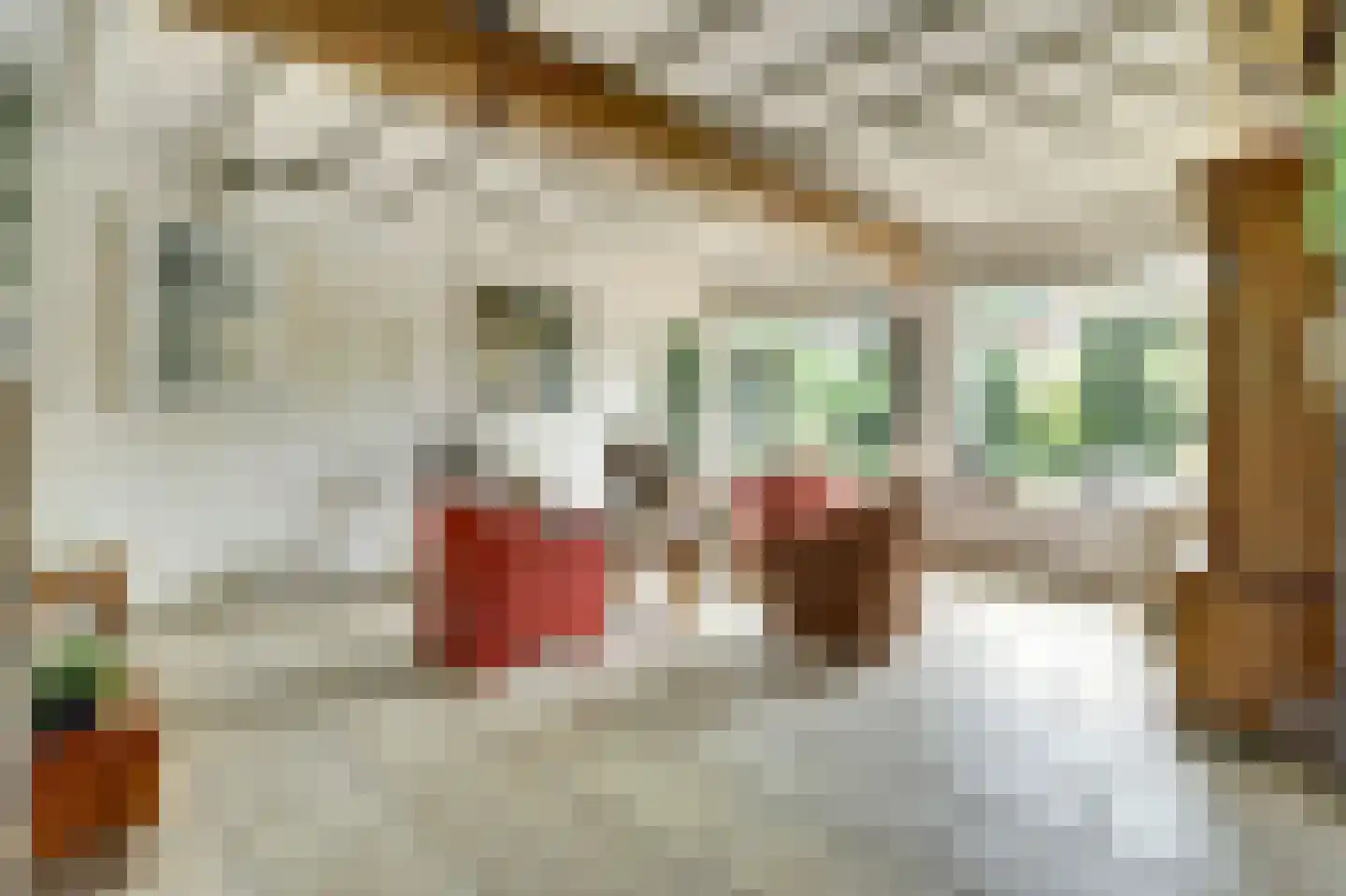 Gelderstraat 54 Hilvarenbeek thumbnail 16