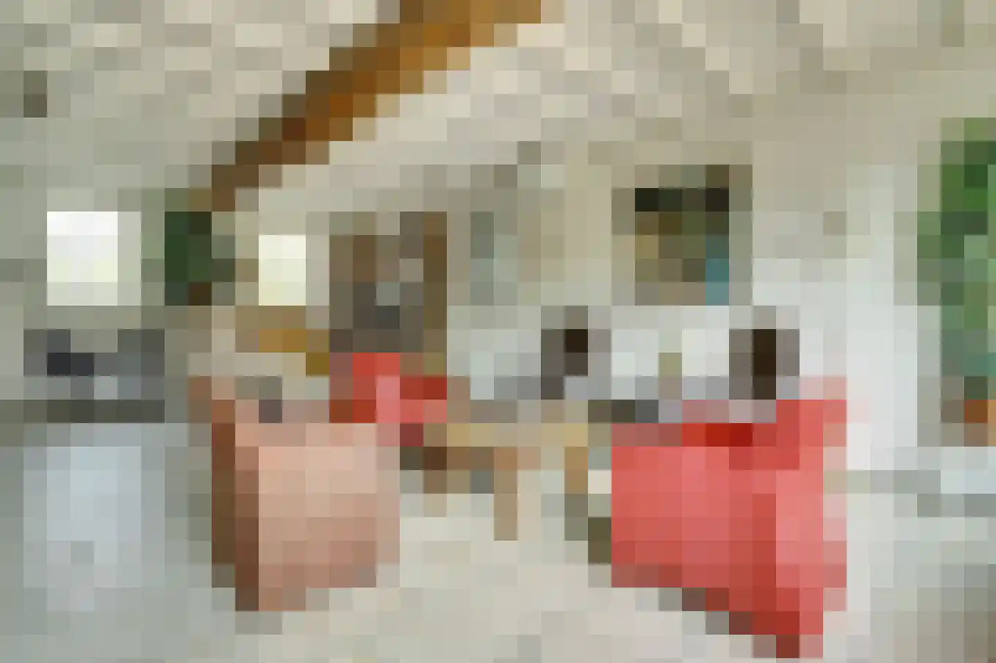 Gelderstraat 54 Hilvarenbeek thumbnail 17